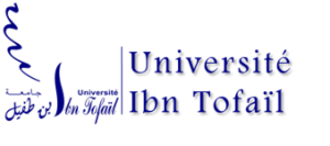 ibn tofail